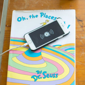 Social Engineering - Can Schools Adapt?