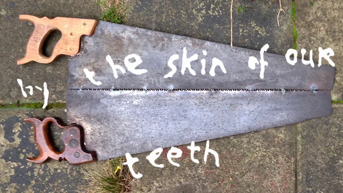 skin-of-our-teethweb3.jpg