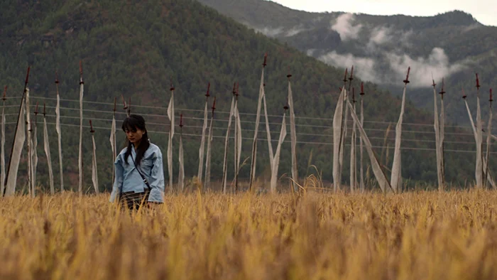 Still from 3 Year 3 Month Retreat (Dechen Roder, 2015)