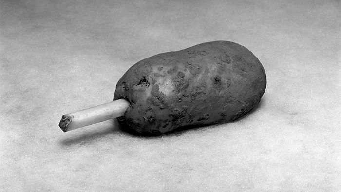 Image: Test Potato - Bethune, France 2017