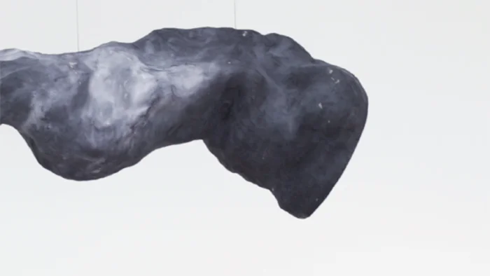 The Bodies That Remain: Book Launch 