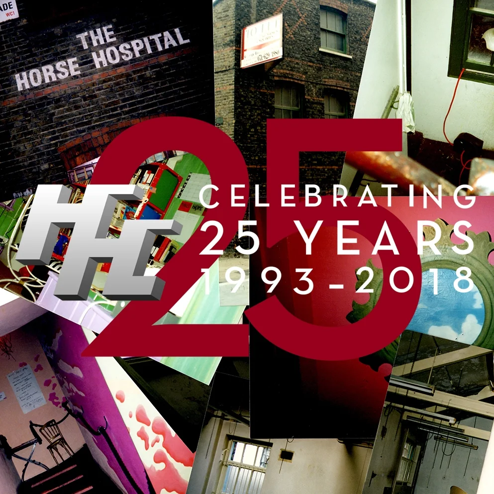 hh25yrsweb_BIG copywithlogo2.jpg
