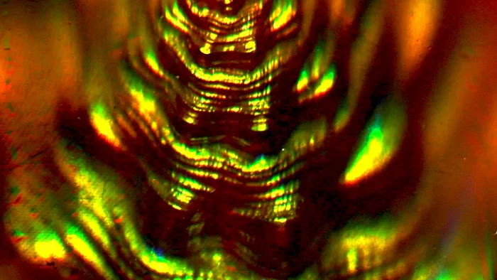 The Holographic Sculptures of Eric Leiser