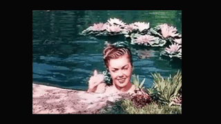 Between Aeaea and the rocks of Scylla