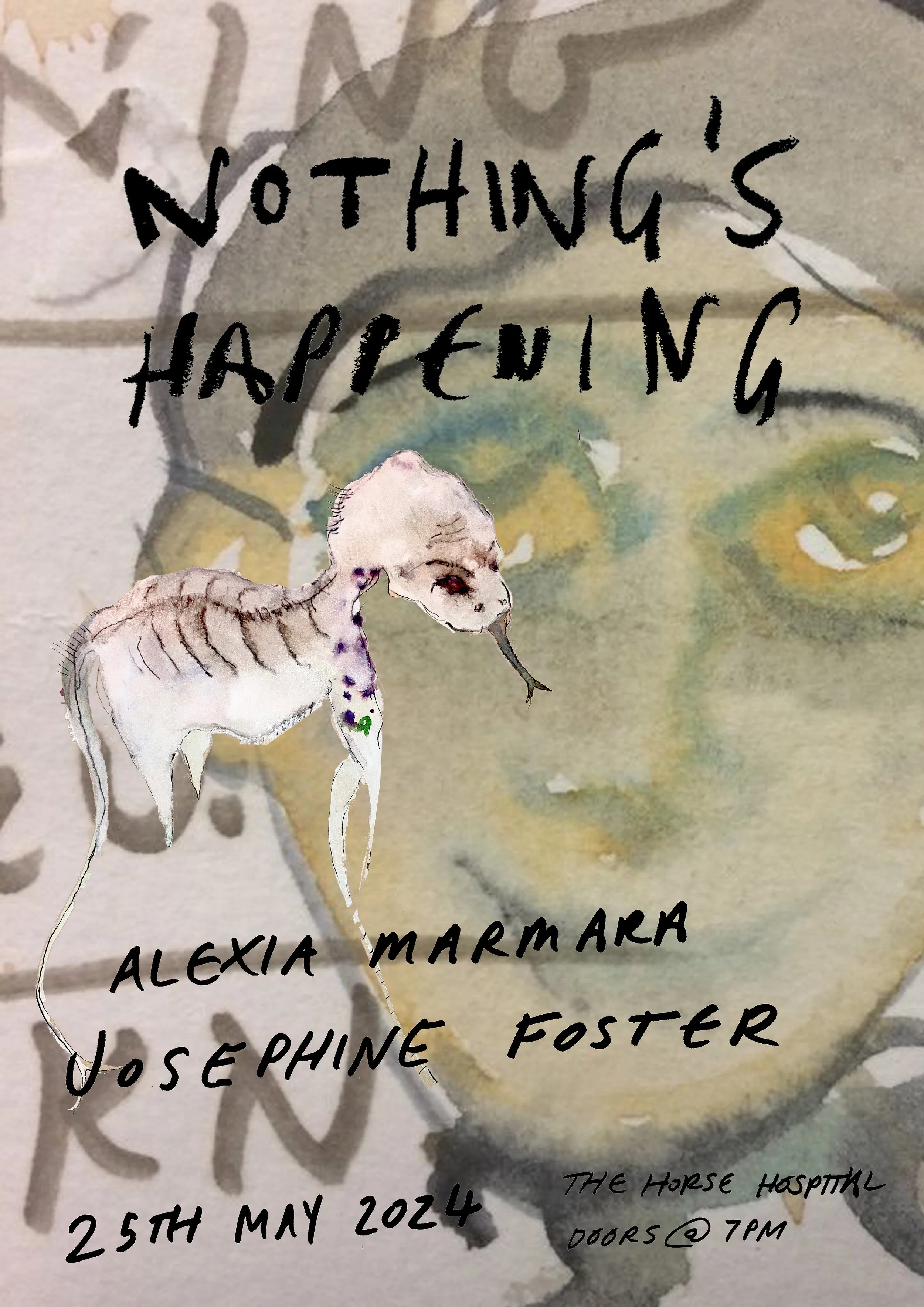 Josephine Foster: Nothing's Happening