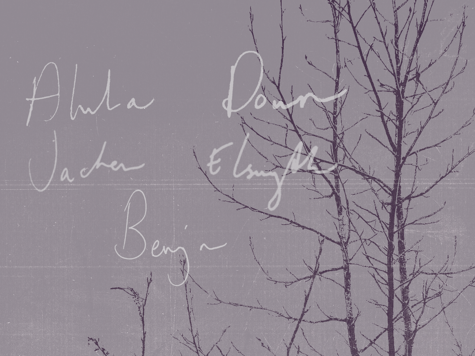  Alula Down | Jacken Elswyth | benjin 