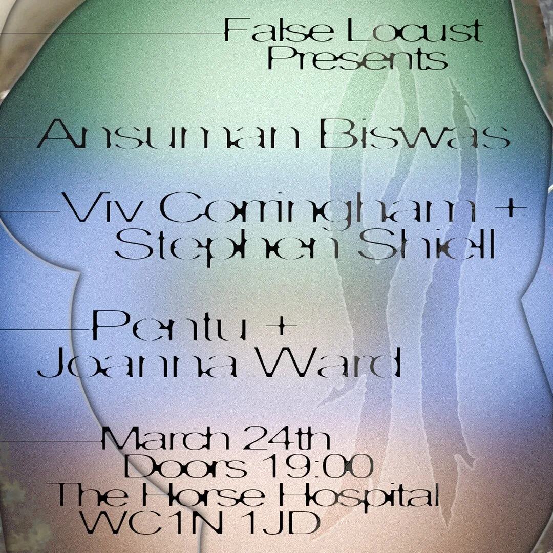 Ansuman Biswas, Viv Corringham + Stephen Shiell, Pentu + Joanna Ward