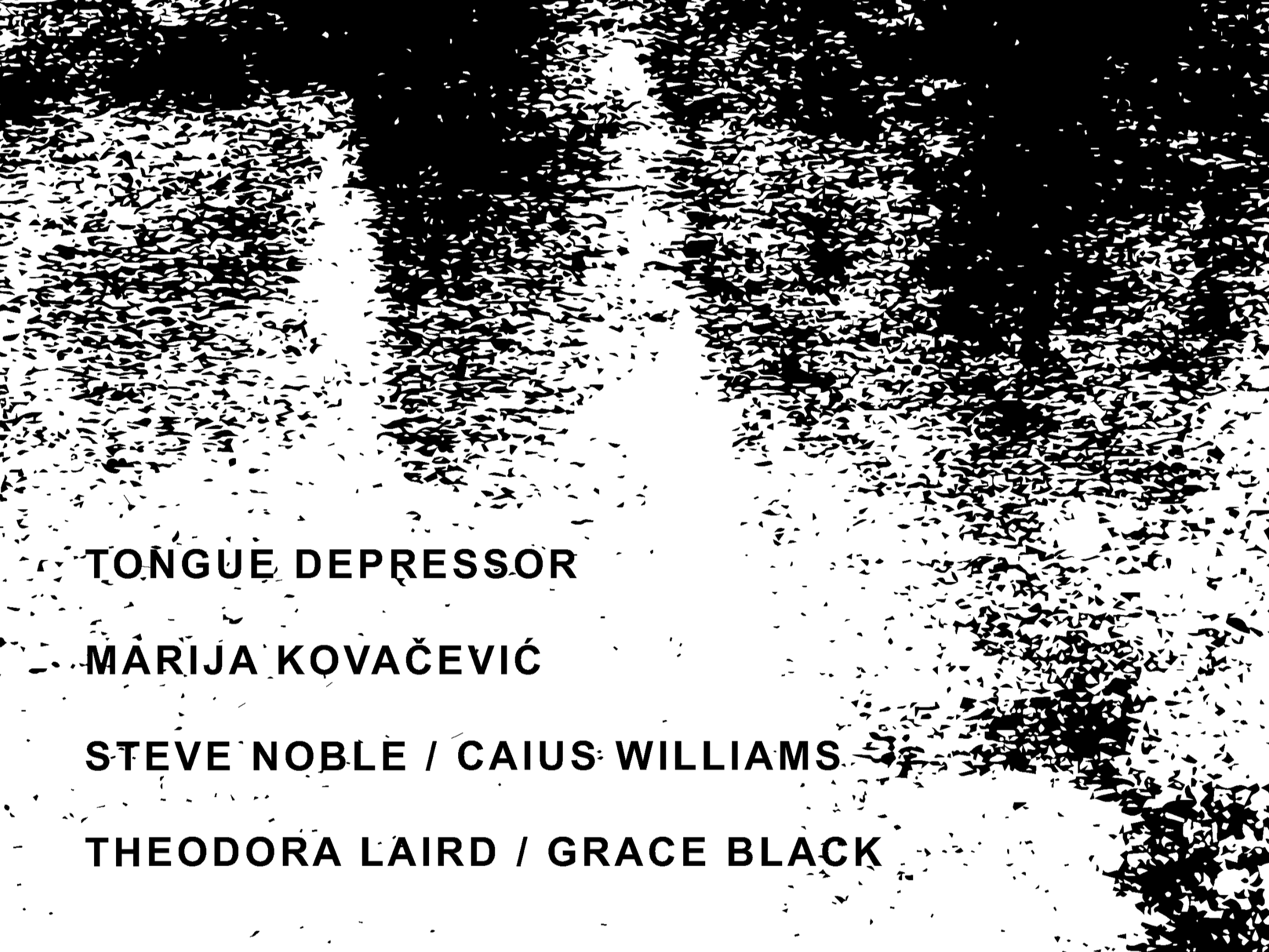 GRAIN presents: Tongue Depressor, Marija Covačević, Steve Noble / Caius Williams, Theodora Laird / Grace Black