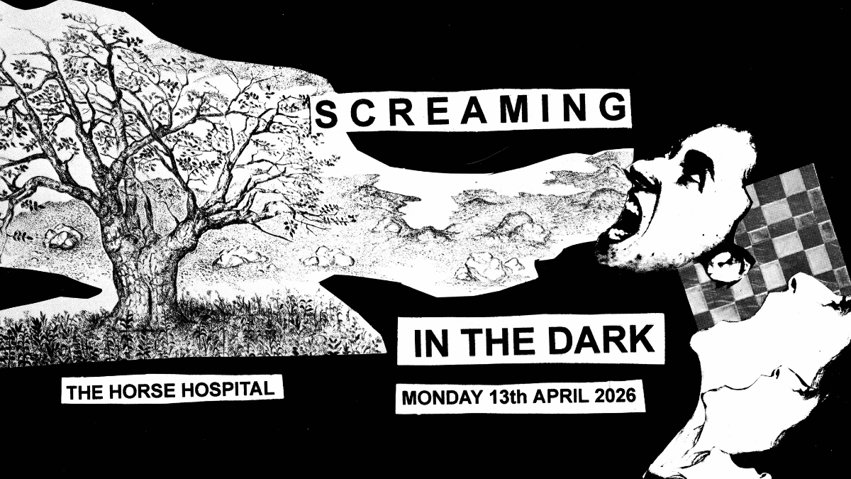 Screaming In The Dark