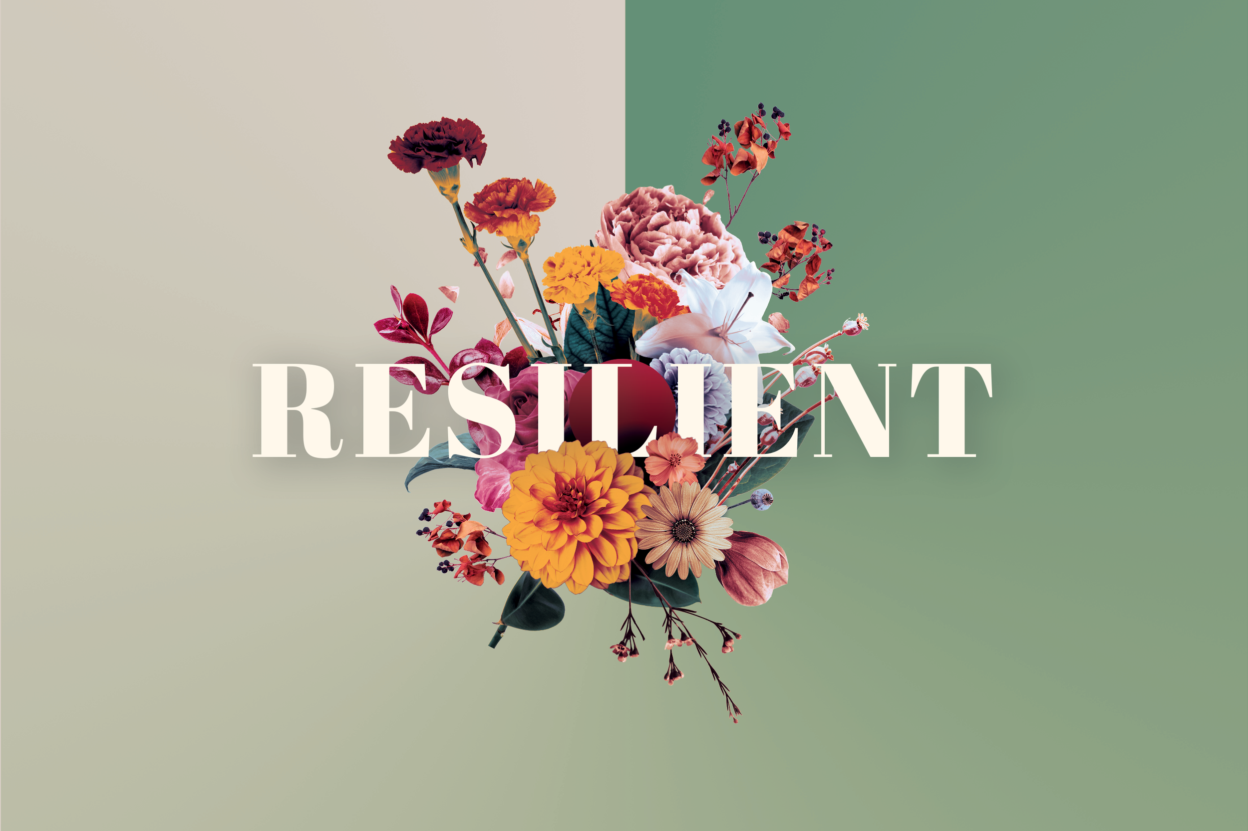 Resilient Screens.png