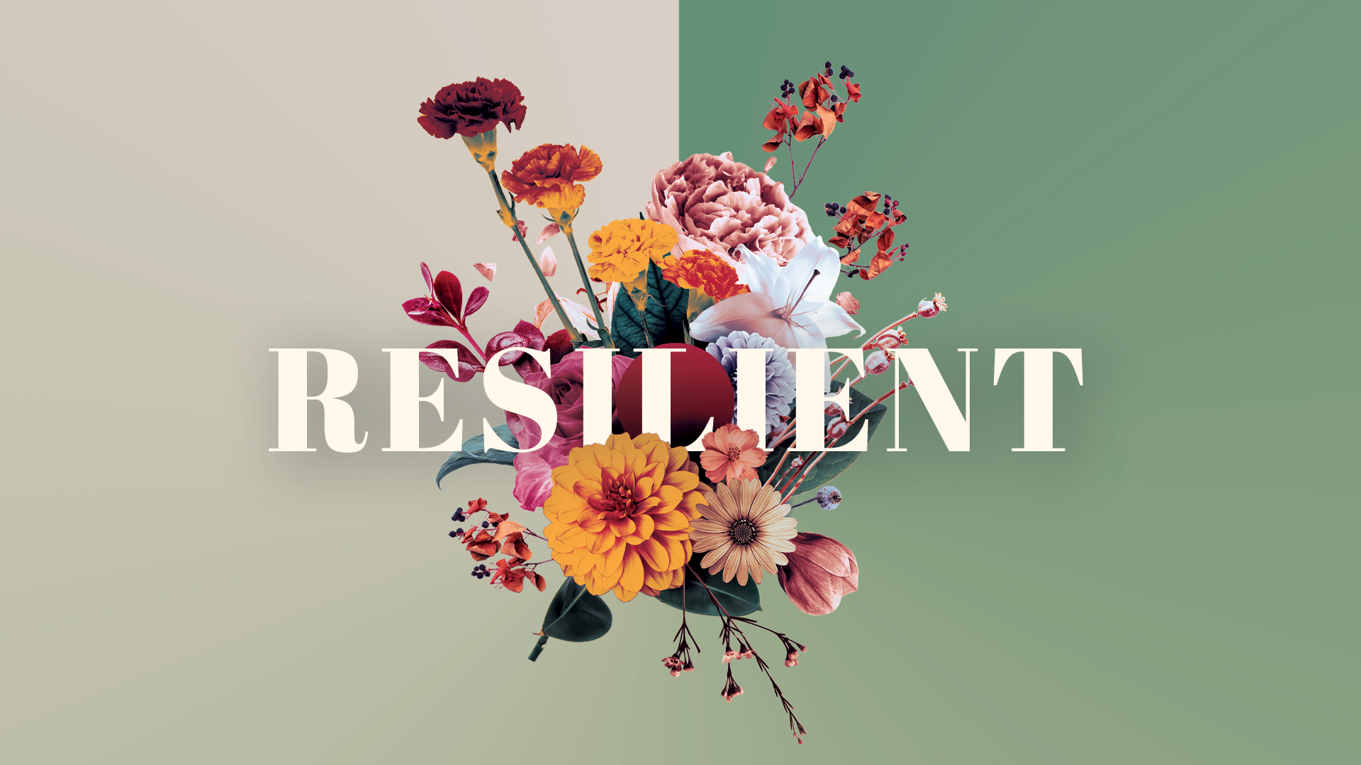 Resilient Screens.png