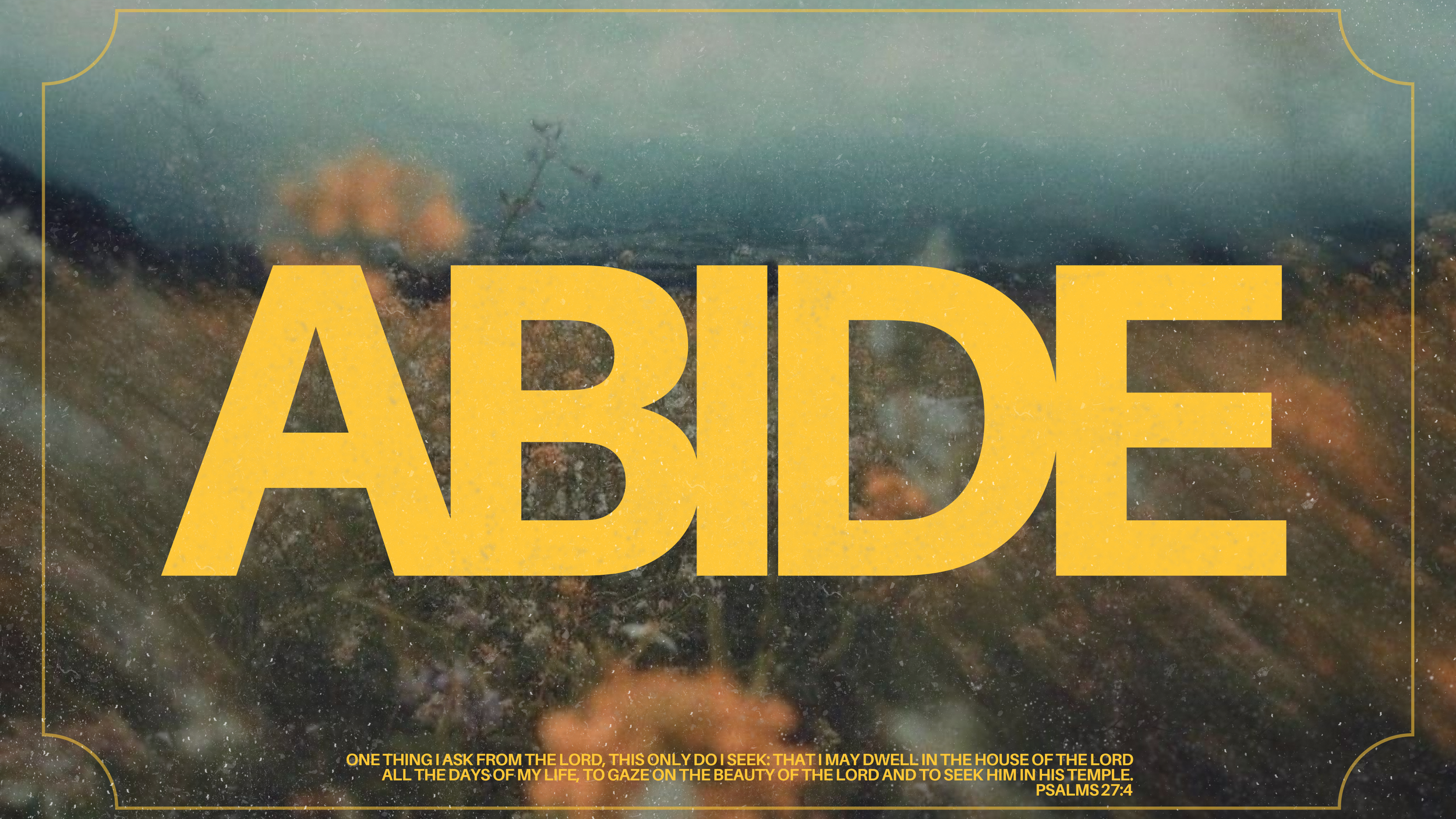 ABIDE- CAMP 2026 .PNG