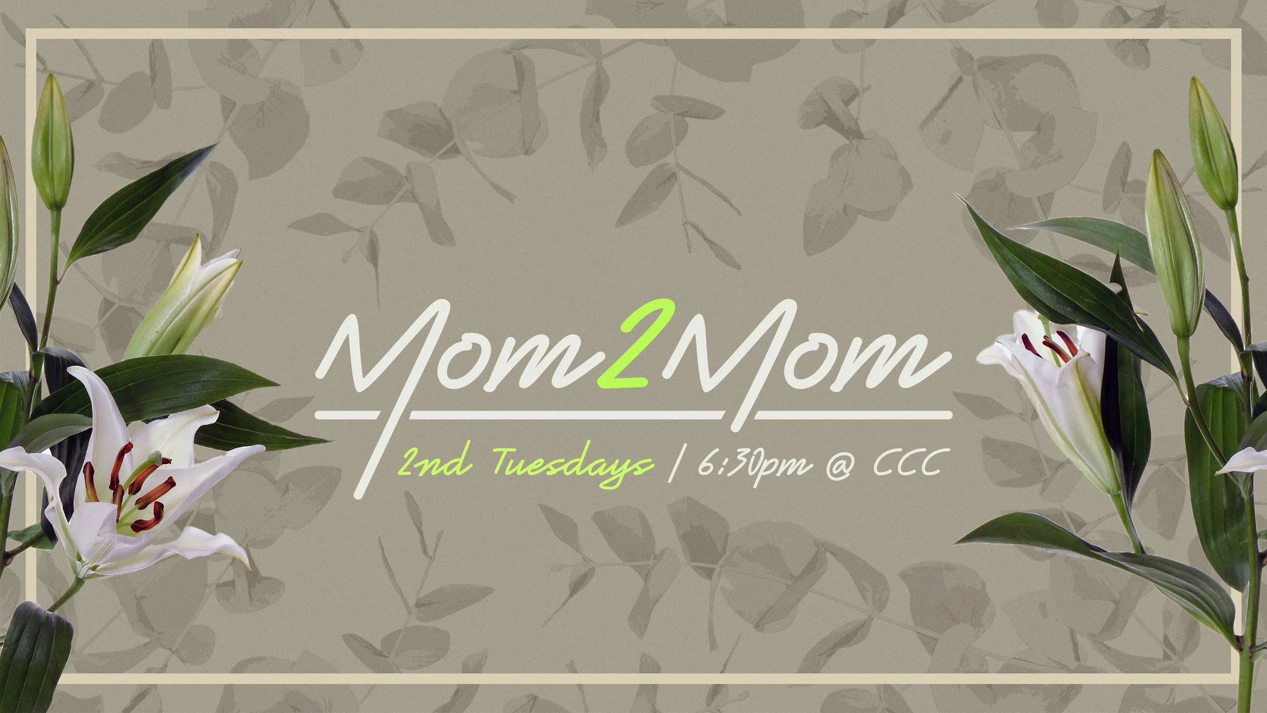 mom2mom 2026 update.jpg