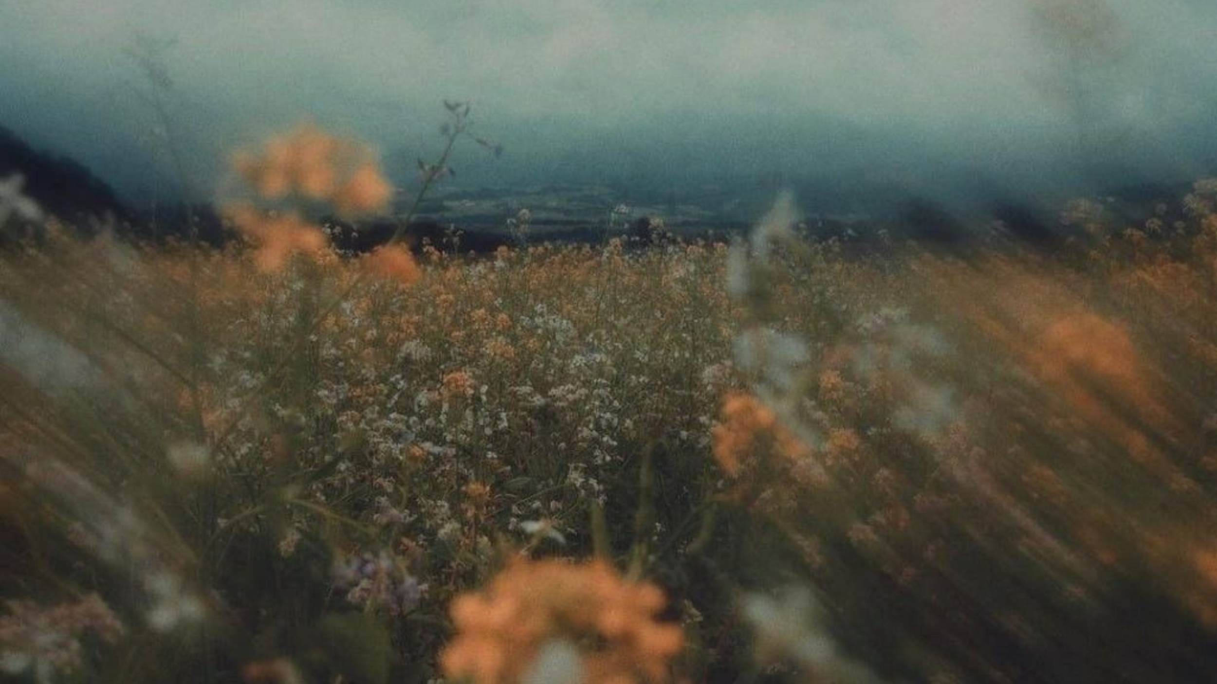 ABIDE- background.png