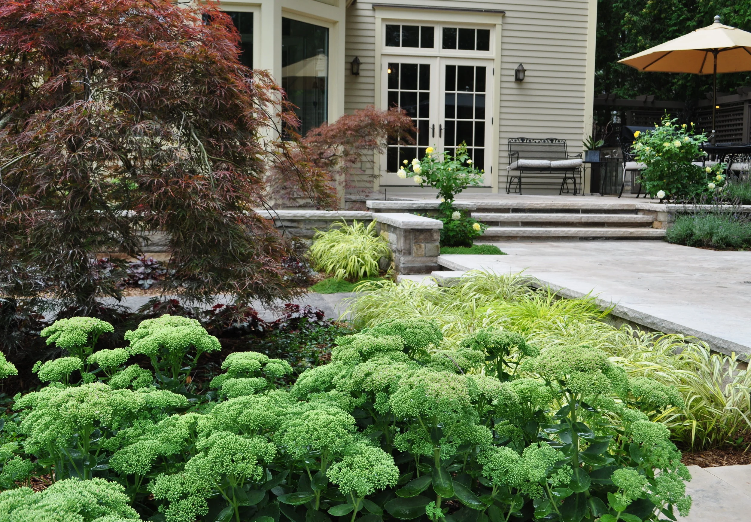 landscape contractors