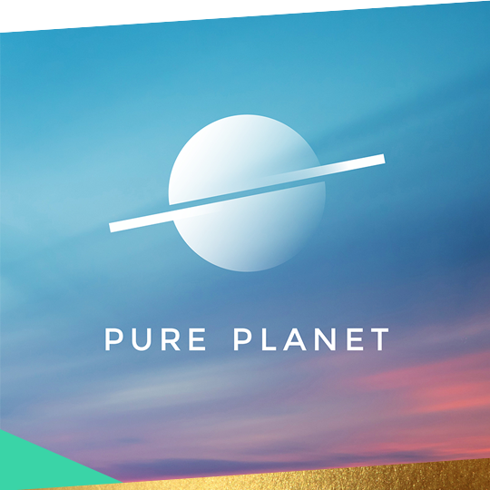 LAUNCHING A CHALLENGER BRAND PURE PLANET READ MORE