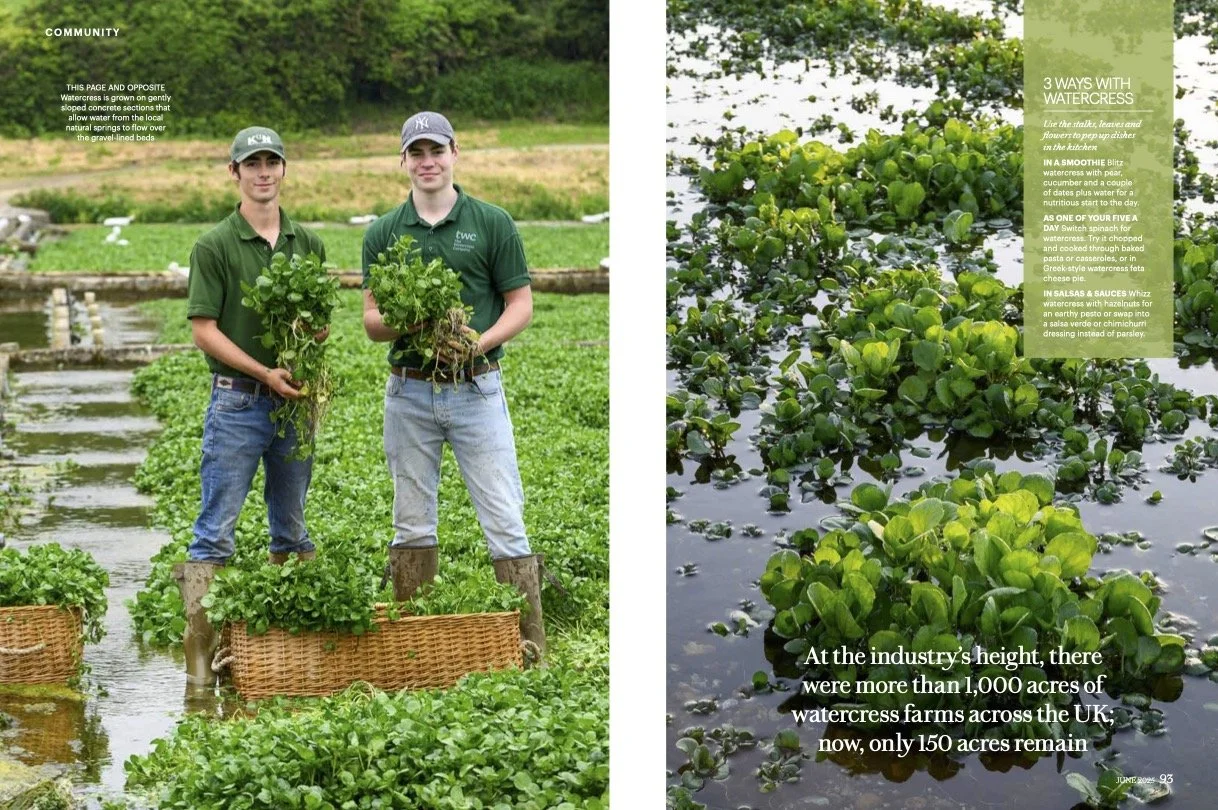 Arlesford watercress festival3.jpg