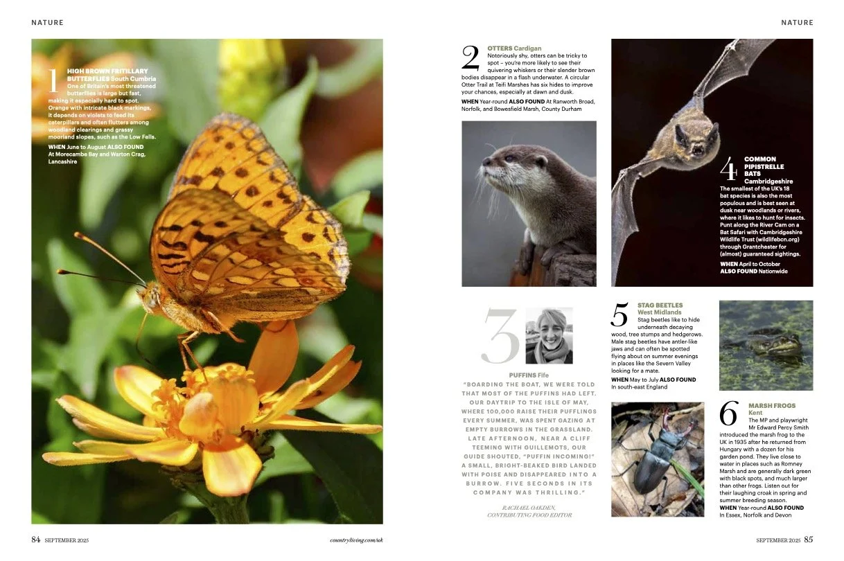 40 best wildlife spots.jpg