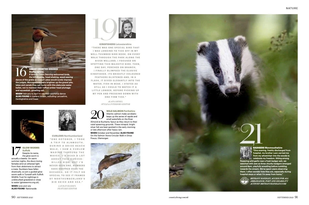 40 best wildlife spots5.jpg