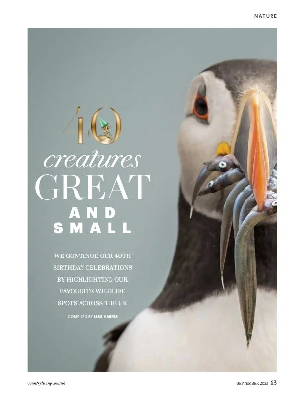 40 best wildlife spots1.jpg