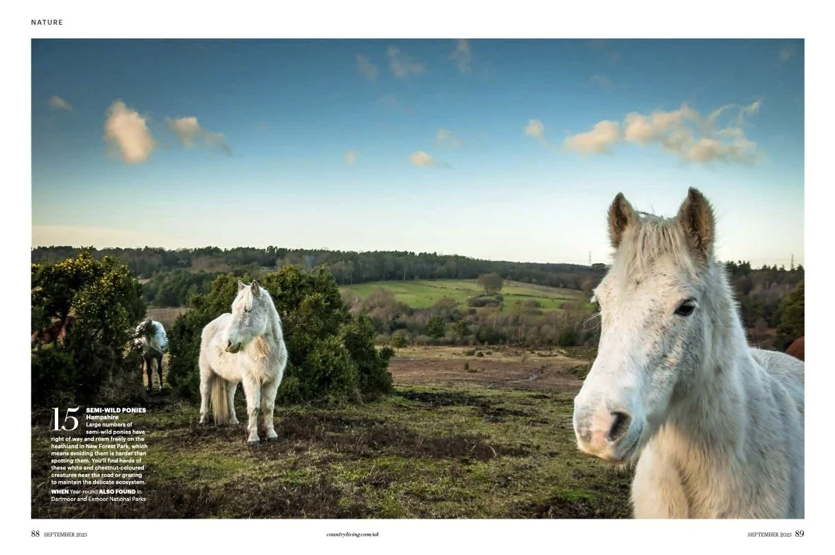 40 best wildlife spots4.jpg