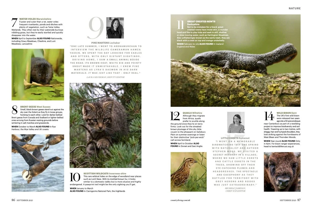 40 best wildlife spots3.jpg