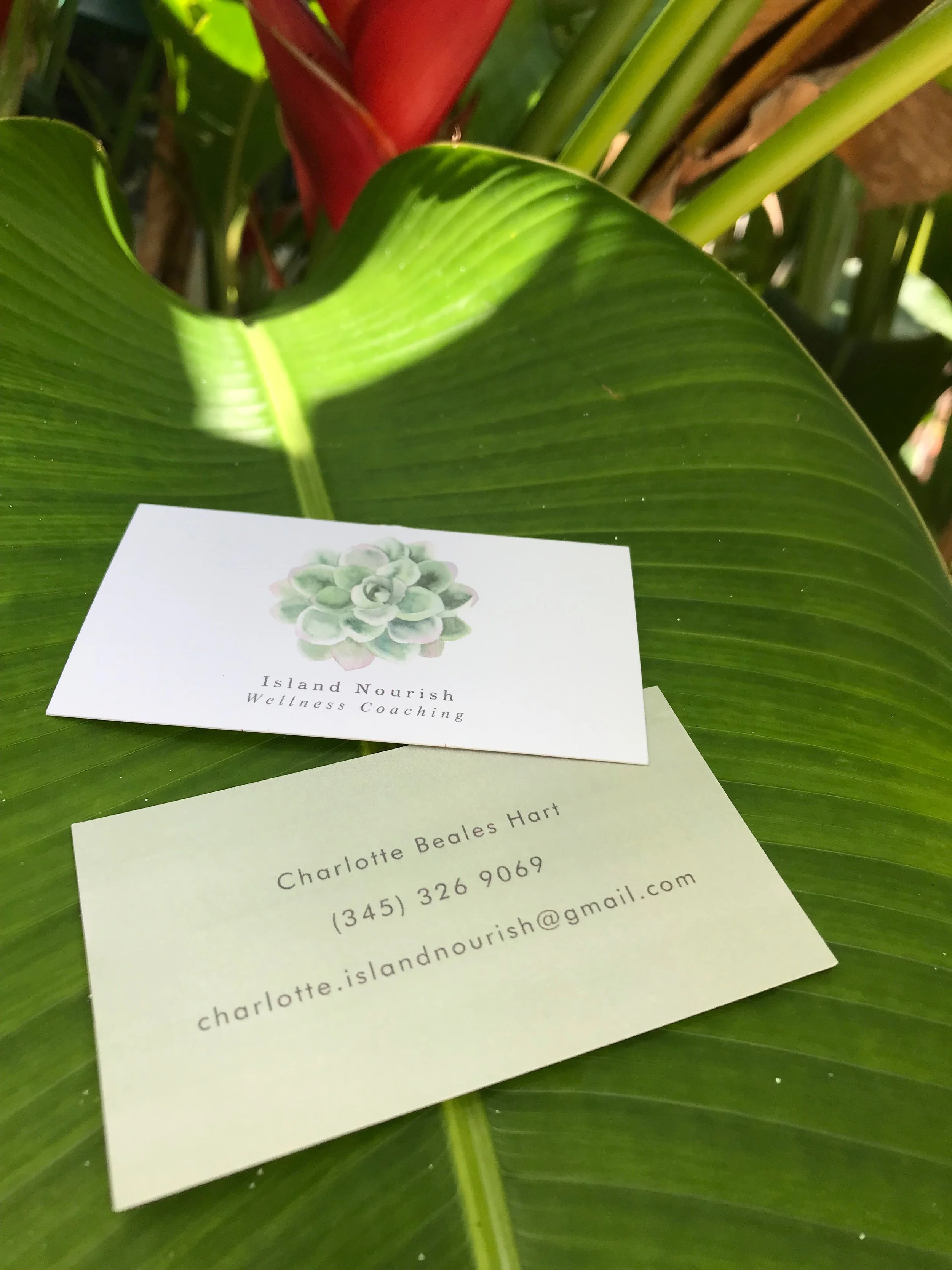 Island Nourish Wellness Coaching Programmes