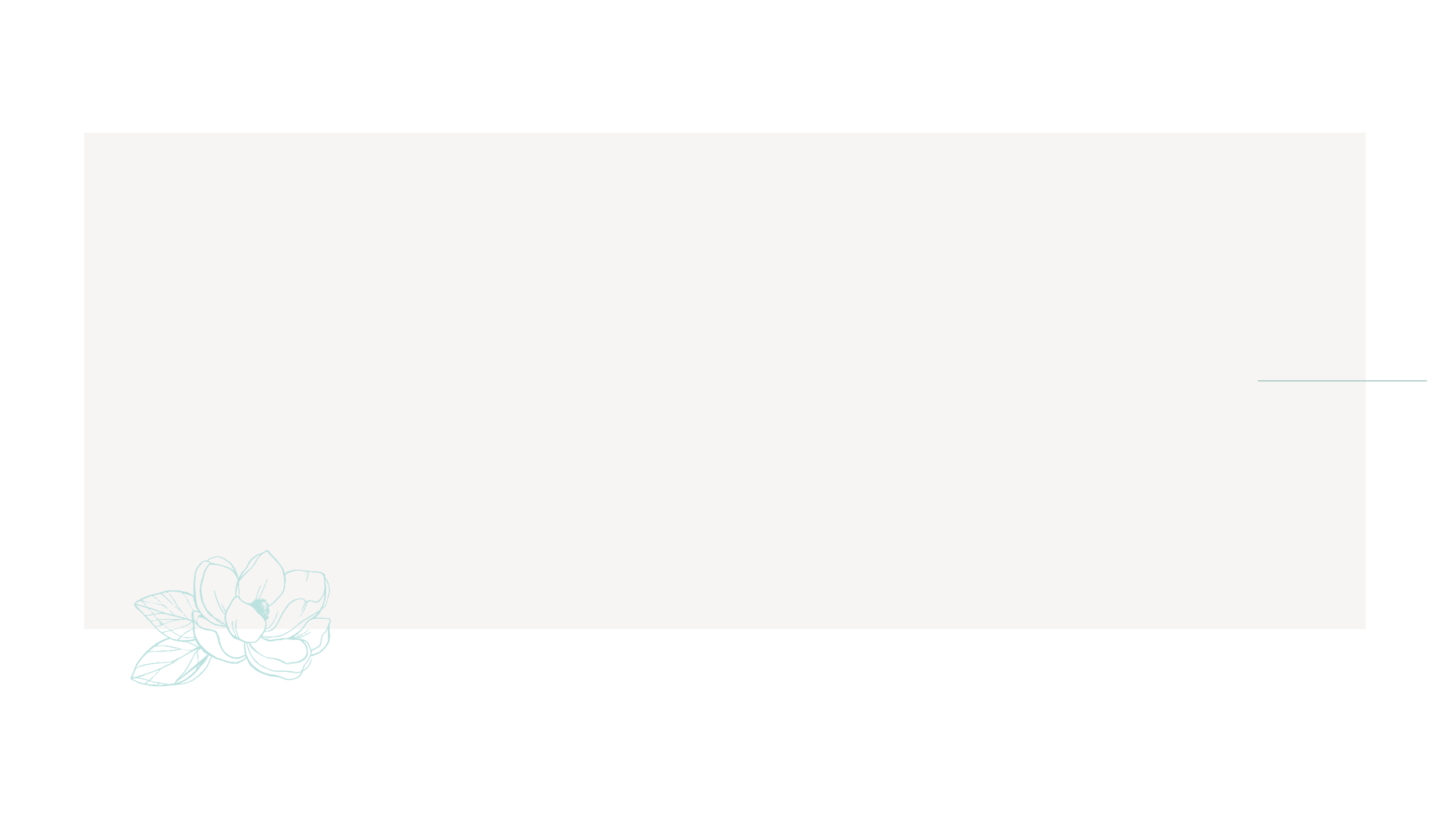 Website elements-02.png