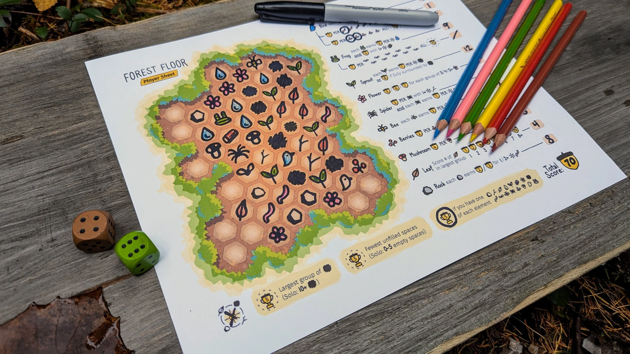 Colour Player Sheet Close B.jpg