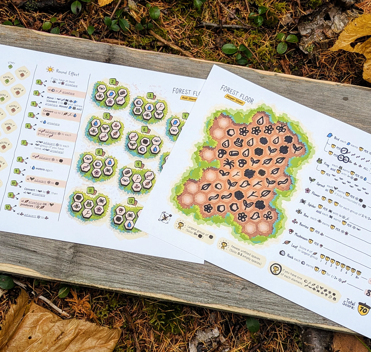 03 Roll and Player Sheets.png