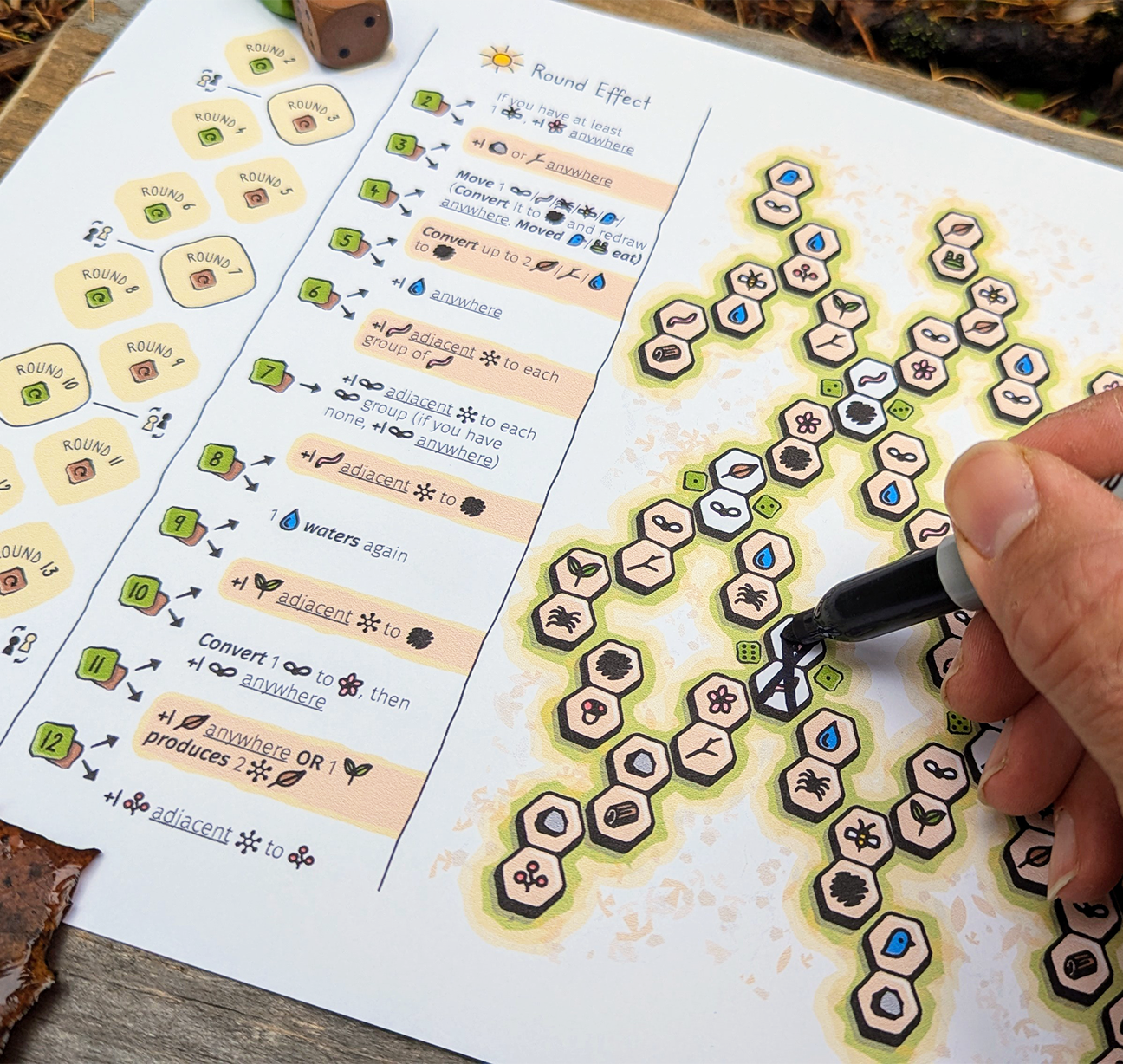 06 Head to Head Sheet.png