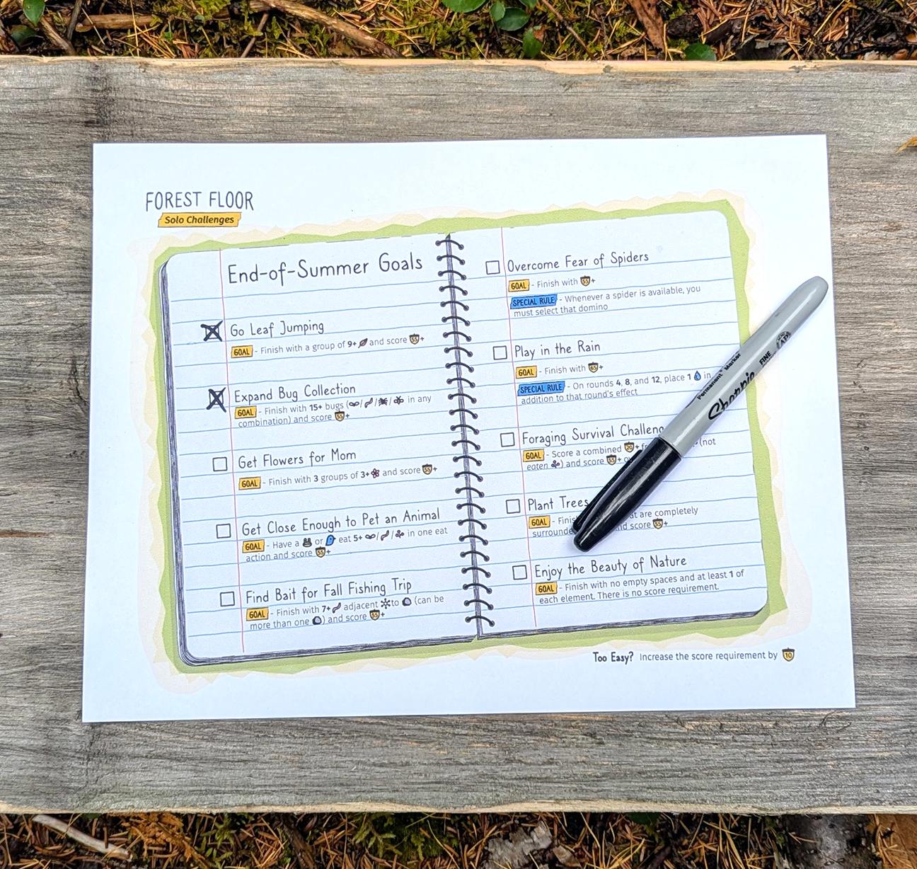 05 Solo Challenges Sheet.png