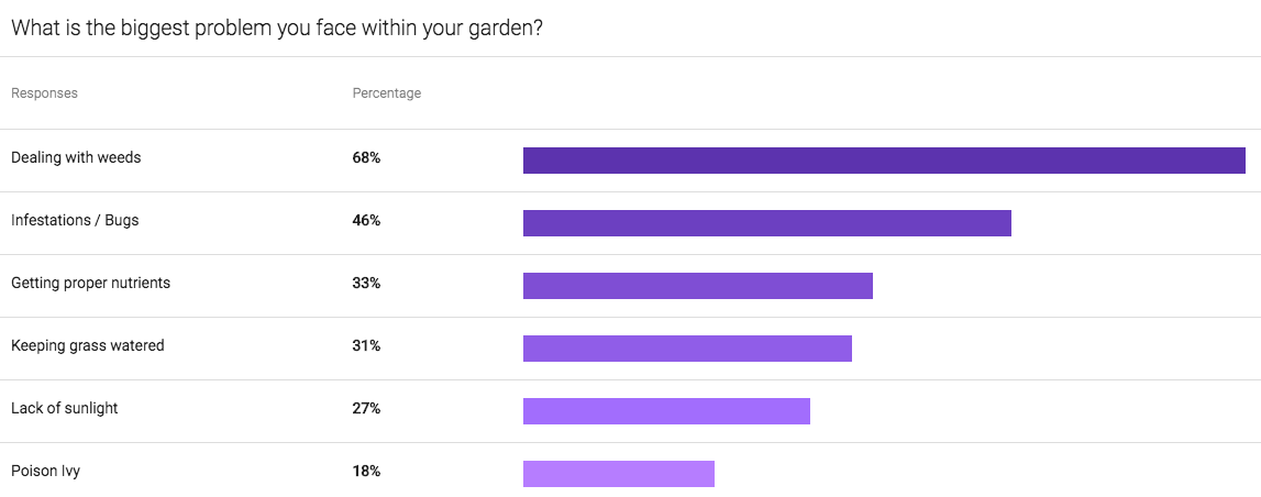 Screen Shot 2018-10-22 at 6.19.44 PM - Jared Eummer.png