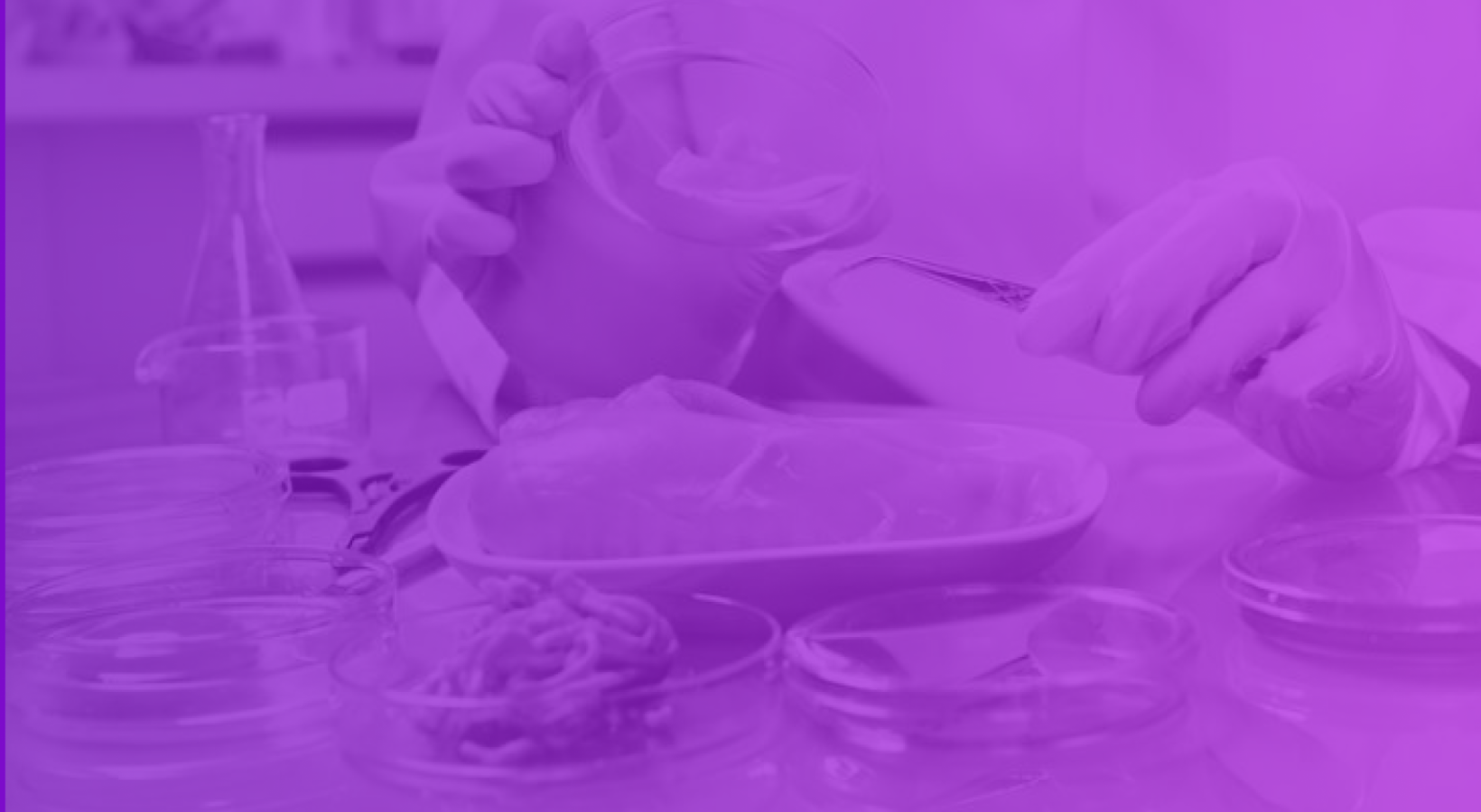 Vegetarians and LabGrown Meat Suzy™ Insights OnDemand