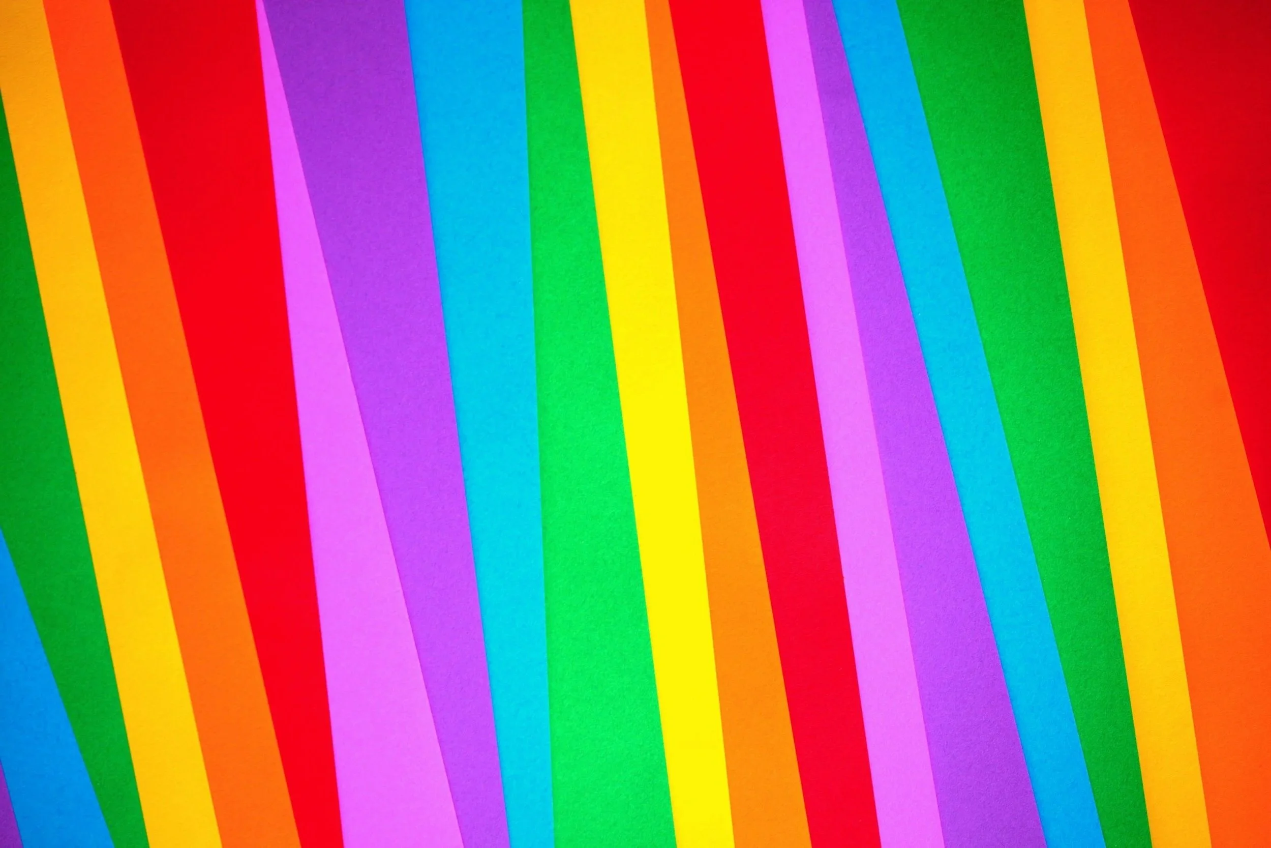image-asset.jpg