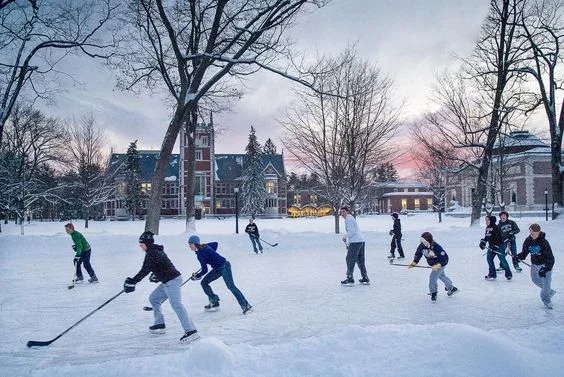 Bowdoin College Campus c/o @ michelestapleton