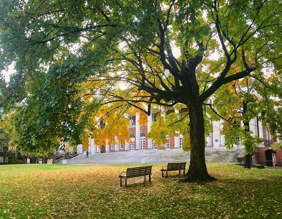 Vanderbilt University, c/o @ alyssaajancc