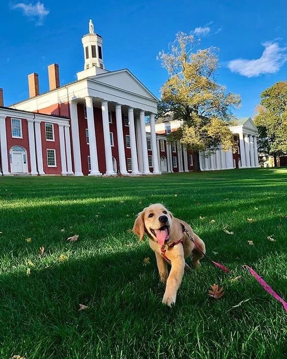 Washington and Lee University, W&L, c/o @ wlunews