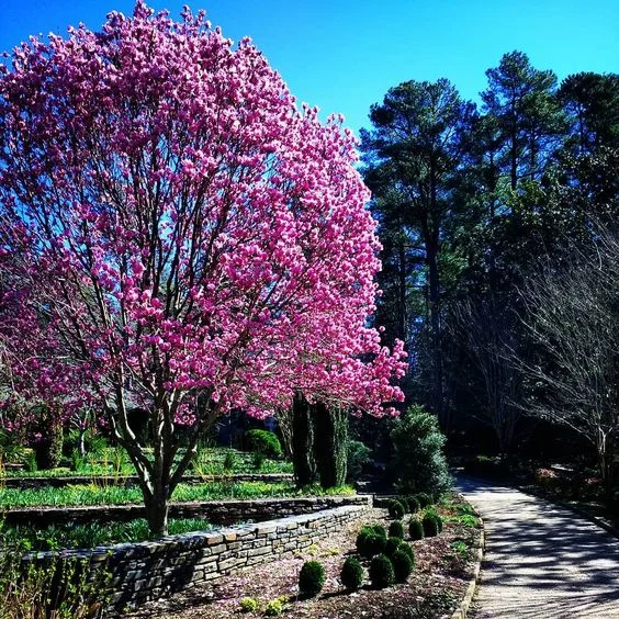 Sarah P. Duke Gardens, c/o @ emily_0126