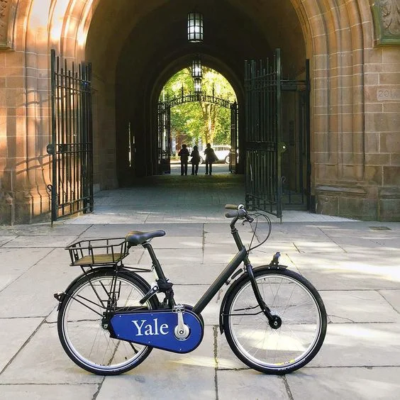 Yale University, c/o @ yale