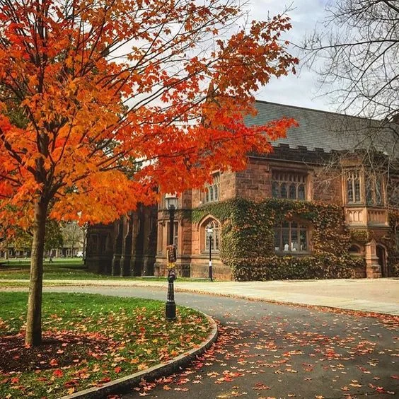 Princeton University PMCV.jpg