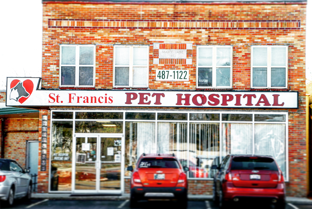 st francis 24hr animal hospital