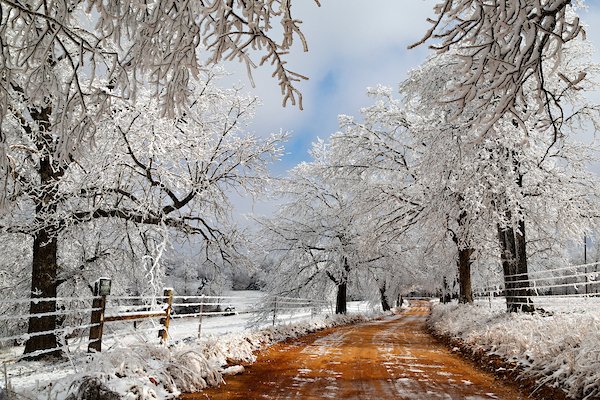 January 2026 Newsletter