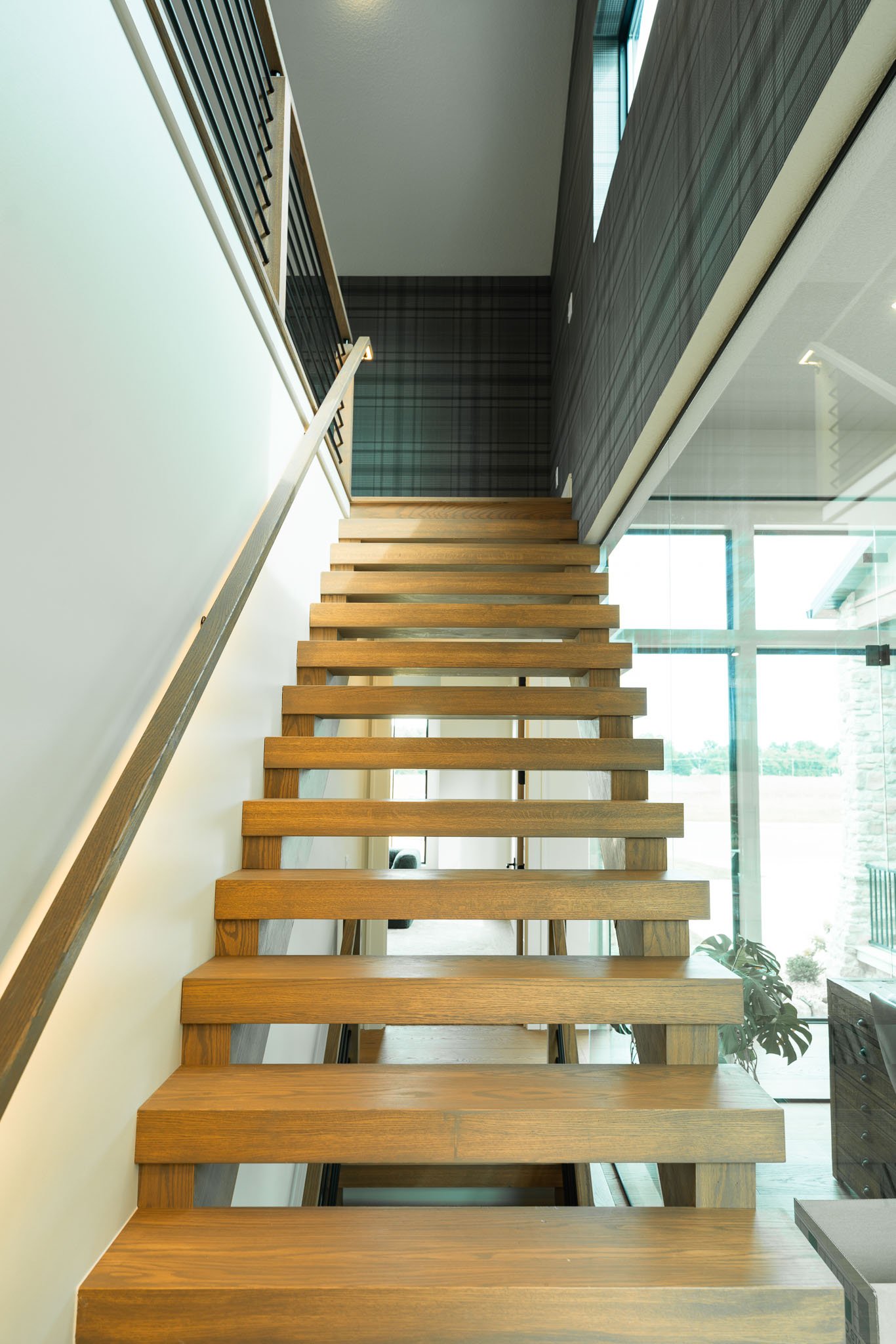 BMF09216-2.jpg