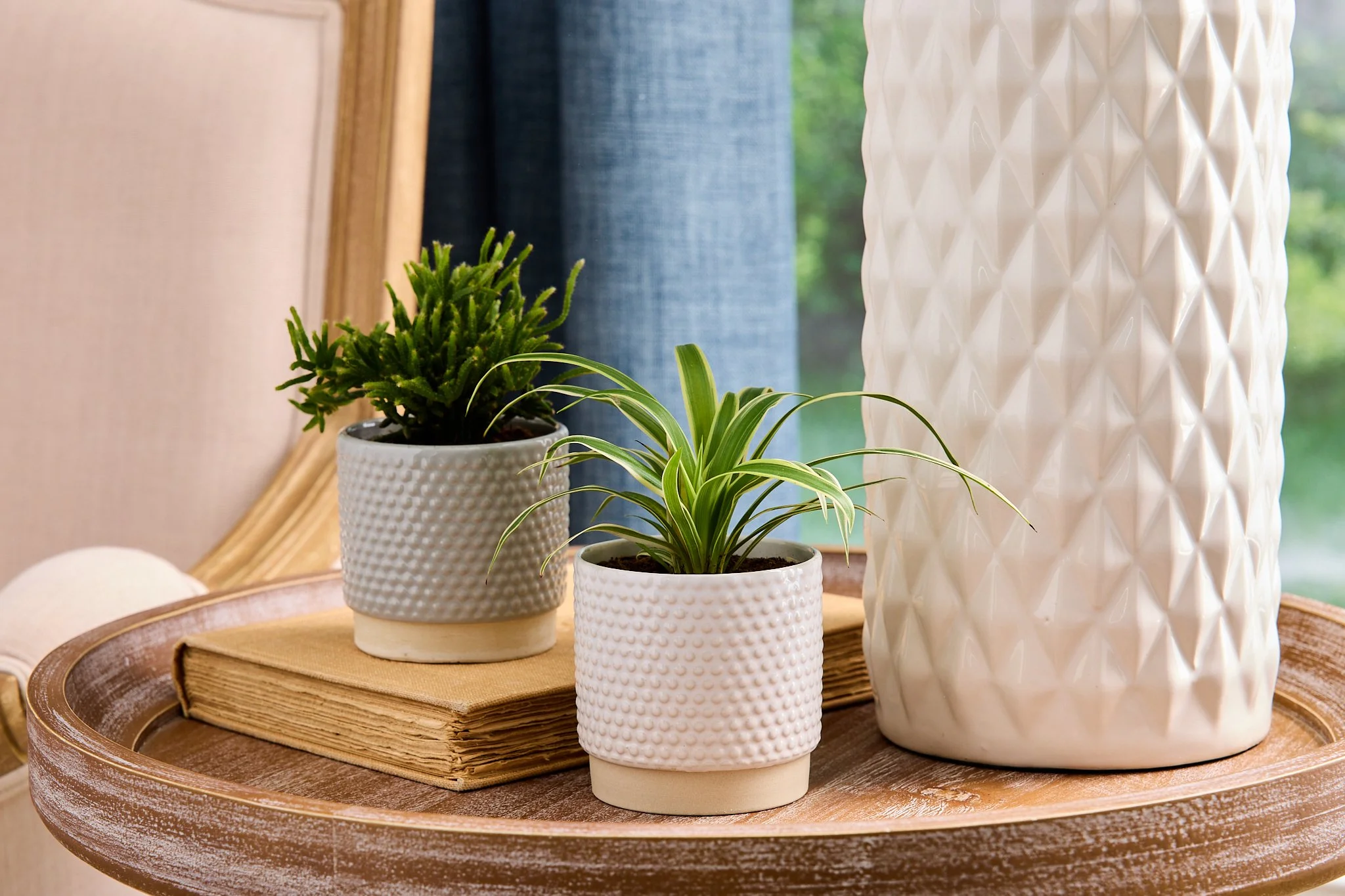 Vigoro_Planters A-102322.jpg