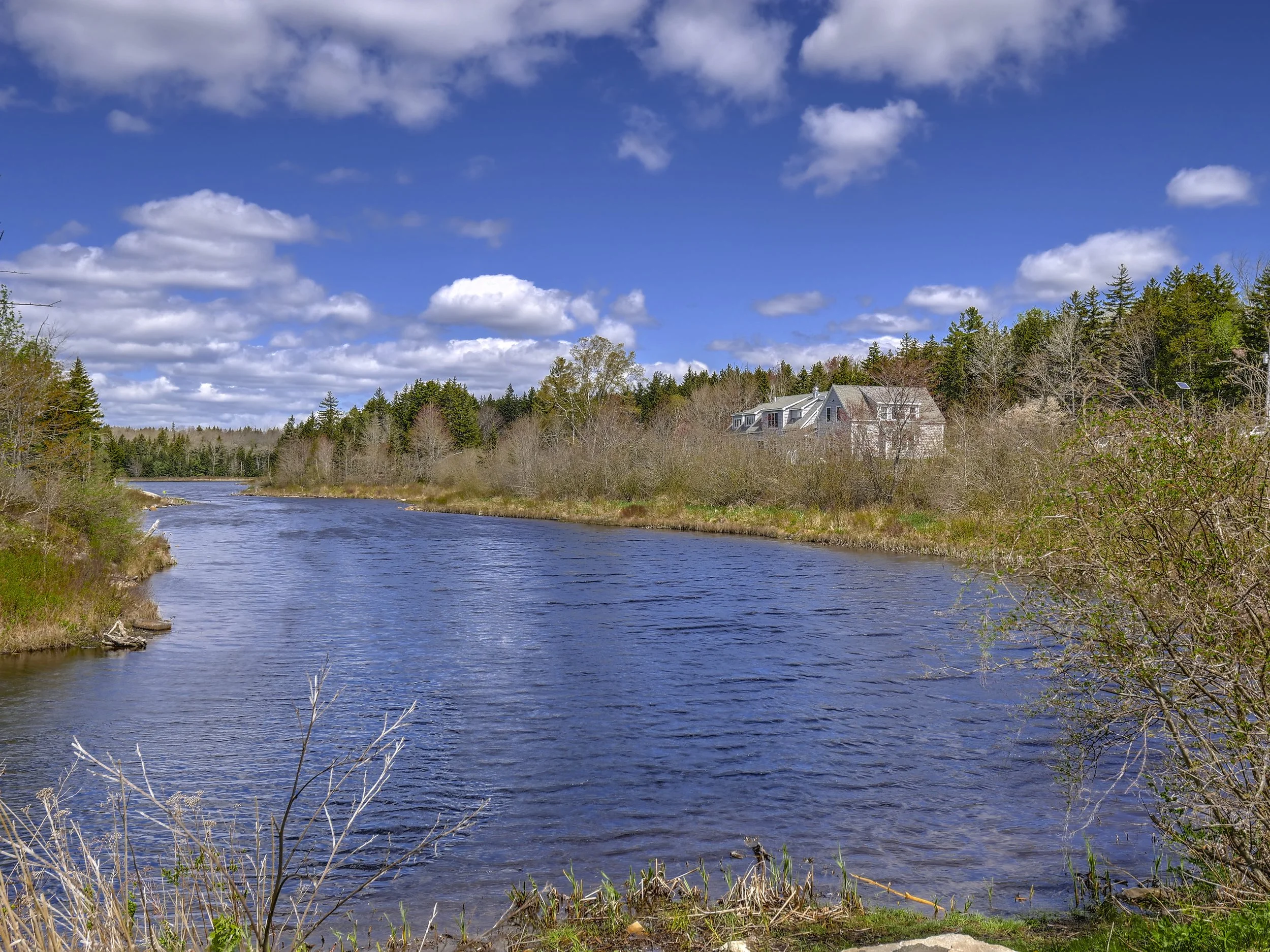 Our Community Marsh