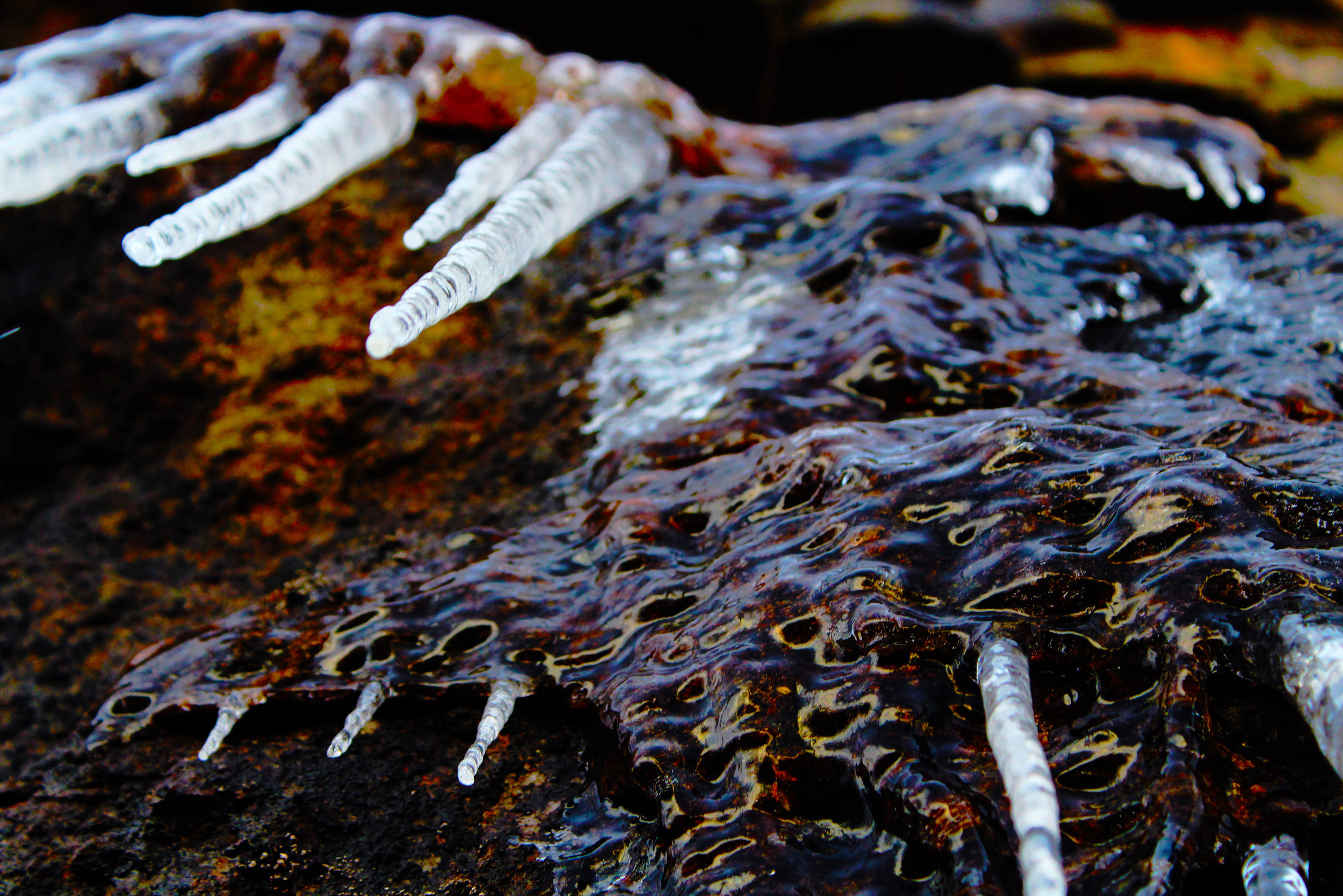 icesick.jpg