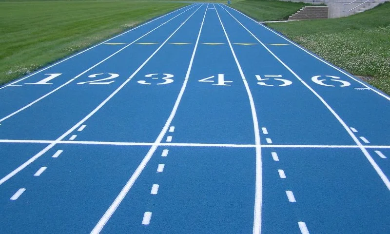 Which Lane for Success?