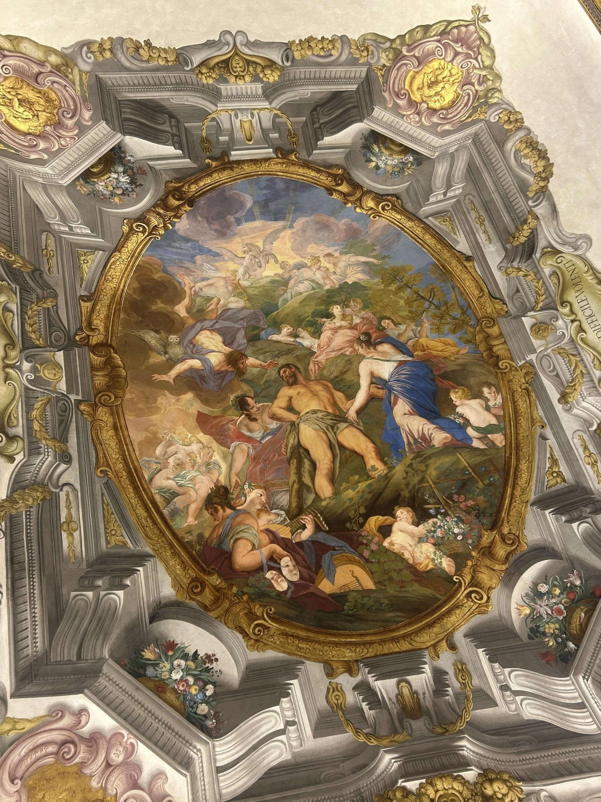 Ricc ceiling.jpg