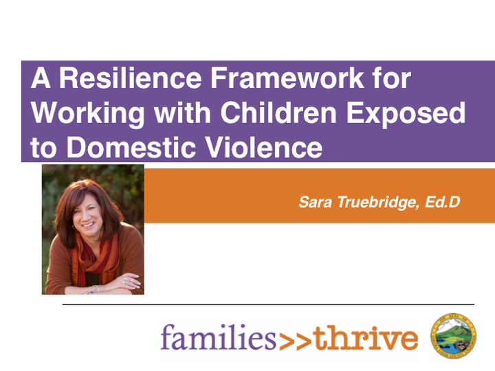 Resilience Framework